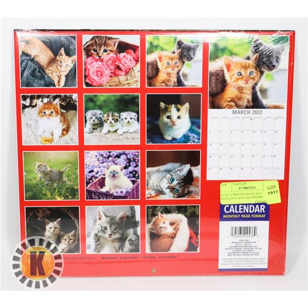 NEW 12 MONTH 2PACK 2022 KITTENS/ CATS CALENDARS