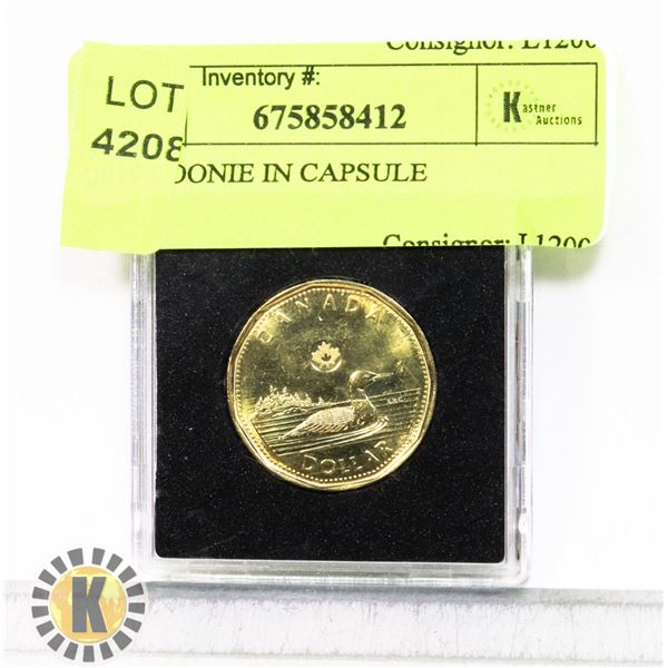 2019 LOONIE IN CAPSULE