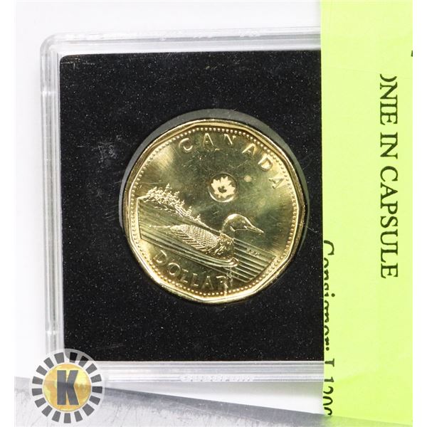 2019 LOONIE IN CAPSULE