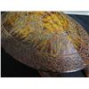 Image 8 : Carved Wooden Honu Turtle, Top Lifts to Reveal a Painting of Tropical Fish & Ocean Life 21"Lx 17"W