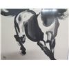 Image 3 : Framed Horse, Chinese Woodblock Print w/ Oriental Markings 26"x44" by Artist Xu Bei Hong