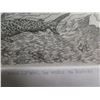 Image 8 : Framed 'Nani Le'ahi, He Maka No Kahiki' Ltd. Ed 1/100 by Jared Wickware 23"x20"