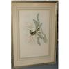 Image 1 : 1 H.C. RICHTER BIRD LITHOGRAPH 20"x13"