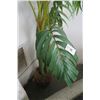 Image 2 : Silk Palm Tree - 7'