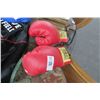 Image 1 : Pair of Autographed Everlast Boxing Gloves