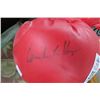 Image 2 : Pair of Autographed Everlast Boxing Gloves