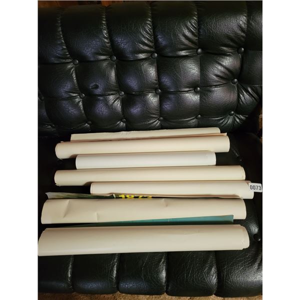 Mystery Vintage Poster Collection (Pets & R.C.M.P)