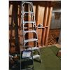 Image 1 : 8ftLadder & Stepping Stool