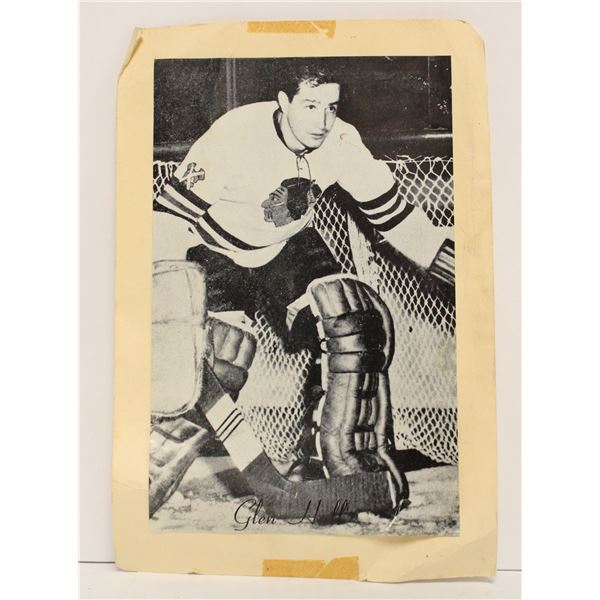 1950S BEE HIVE GLEN HALL PICTURE CARD