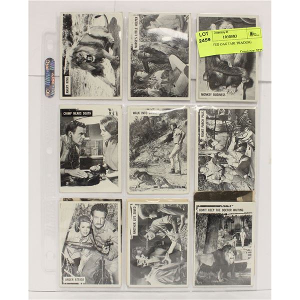 ASSORTED DAKTARI TRADING CARDS