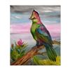Image 1 : African Turaco by Katon Original