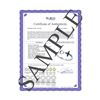 Image 2 : 2.56 CTW Malachite & Diamond Ring 14K White Gold - REF-60Y5V