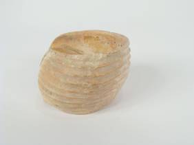 A RARE INDUS VALLEY SHELL ARMBAND (Harappan),