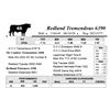 Image 1 : Redland Tremendous 6390