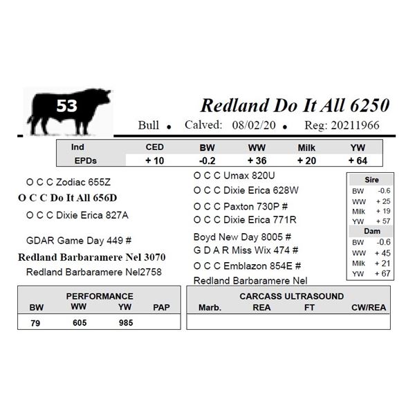 Redland Do It All 6250