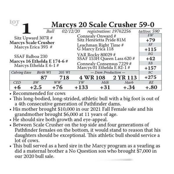 Marcys 20 Scale Crusher 59-0