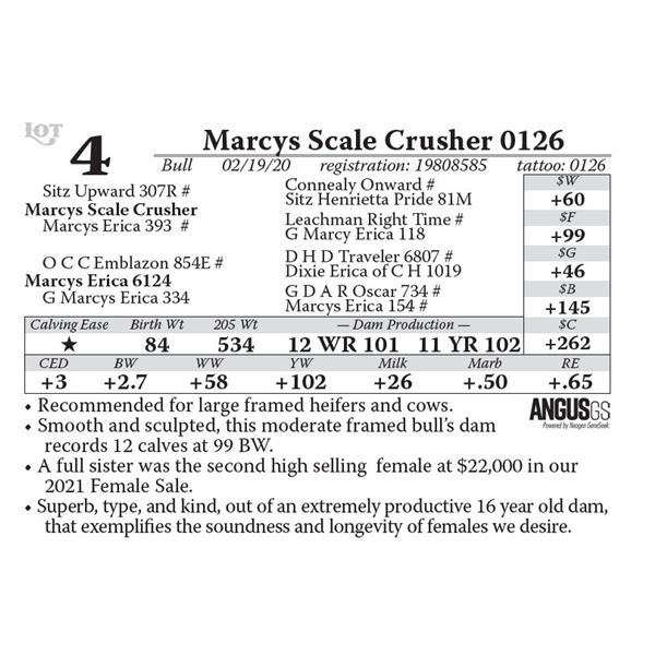 OUT OF SALE - Marcys Scale Crusher 0126