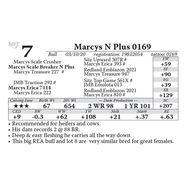 Marcys N Plus 0169