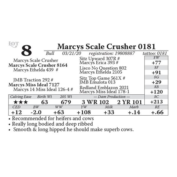 Marcys Scale Crusher 0181