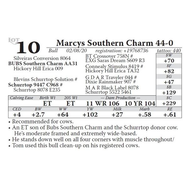 Marcys Southern Charm 44-0