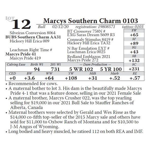 Marcys Southern Charm 0103