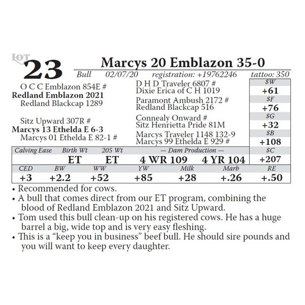 Marcys 20 Emblazon 35-0