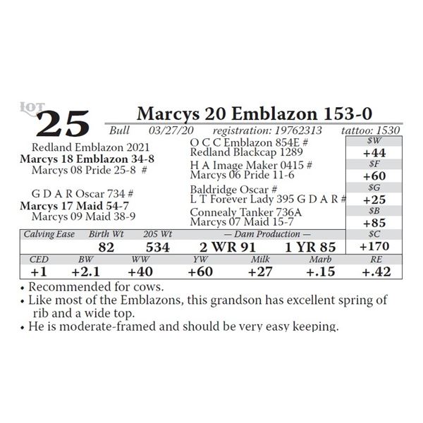 Marcys 20 Emblazon 153-0