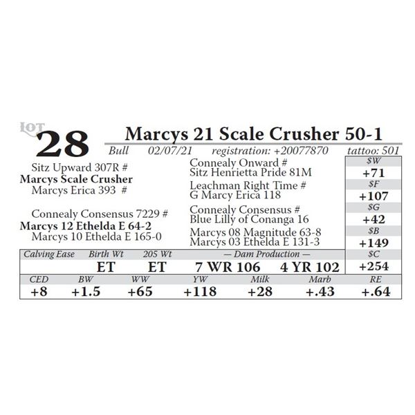 Marcys 21 Scale Crusher 50-1