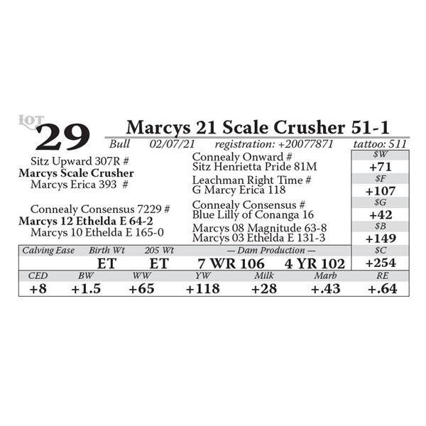 Marcys 21 Scale Crusher 51-1