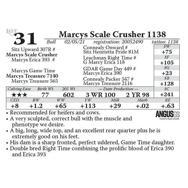 Marcys Scale Crusher 1138