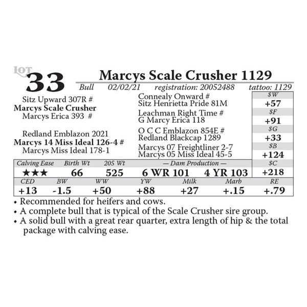 Marcys Scale Crusher 1129