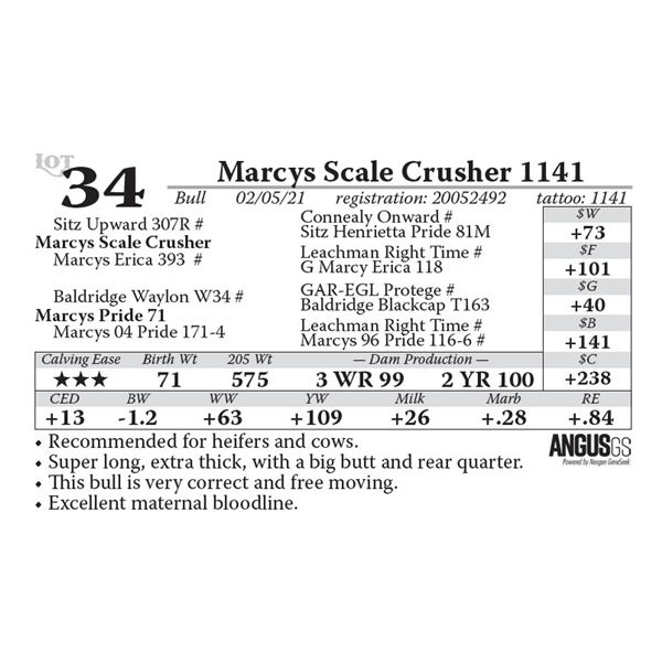 Marcys Scale Crusher 1141