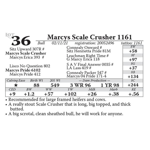 Marcys Scale Crusher 1161