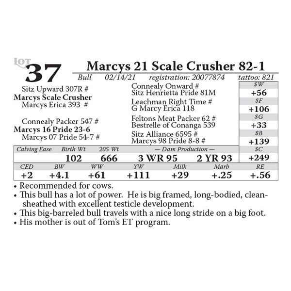 Marcys 21 Scale Crusher 82-1