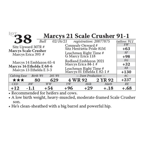 Marcys 21 Scale Crusher 91-1