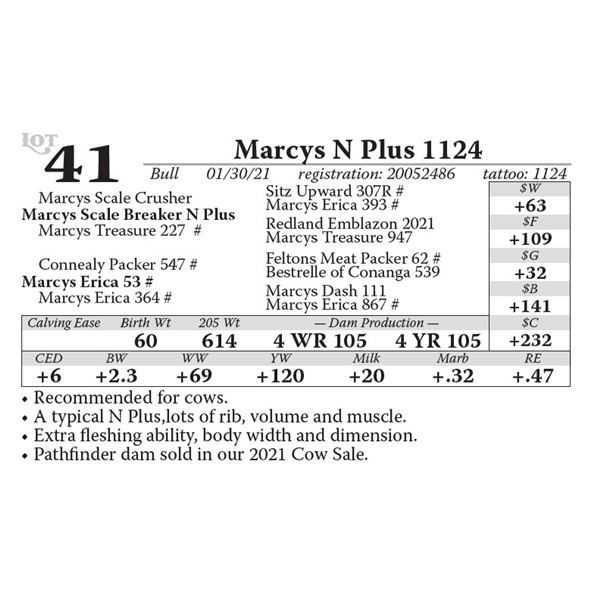 Marcys N Plus 1124