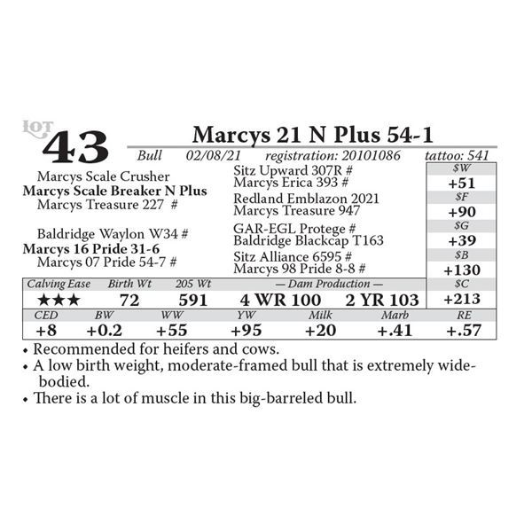 Marcys 21 N Plus 54-1