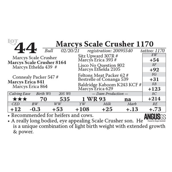 Marcys Scale Crusher 1170