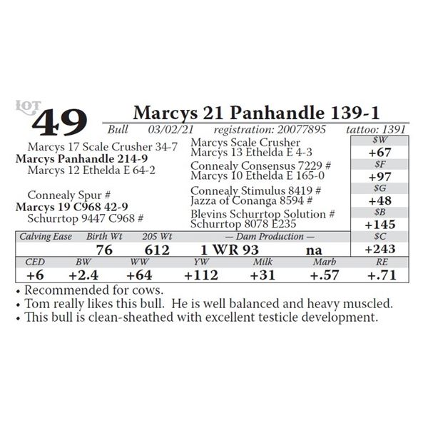 Marcys 21 Panhandle 139-1