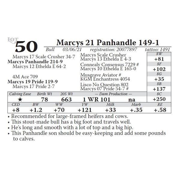 Marcys 21 Panhandle 149-1