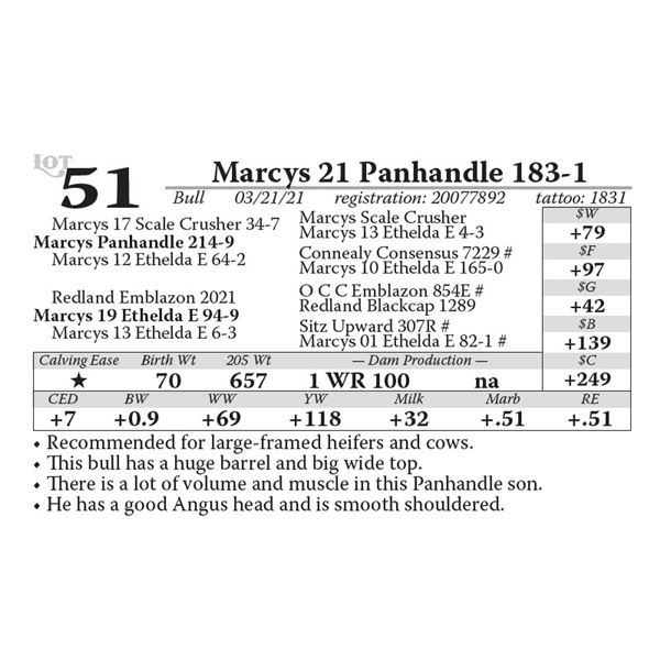 OUT OF SALE - Marcys 21 Panhandle 183-1