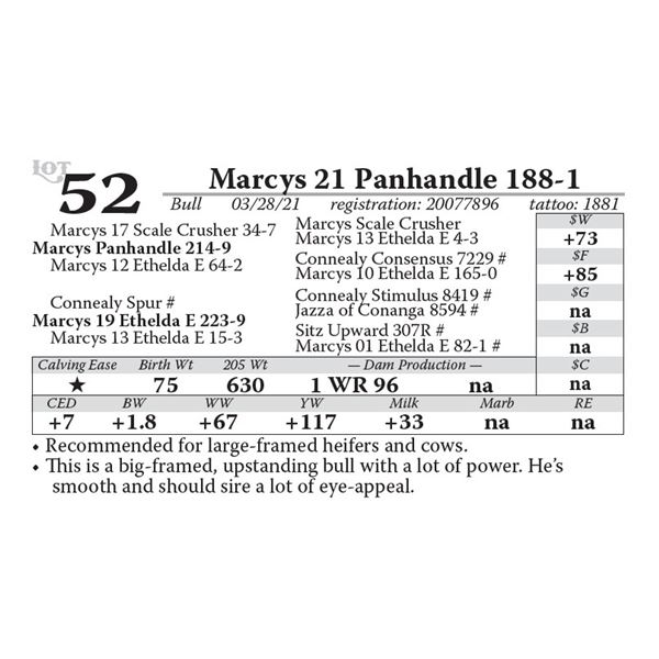 Marcys 21 Panhandle 188-1