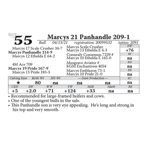 Marcys 21 Panhandle 209-1