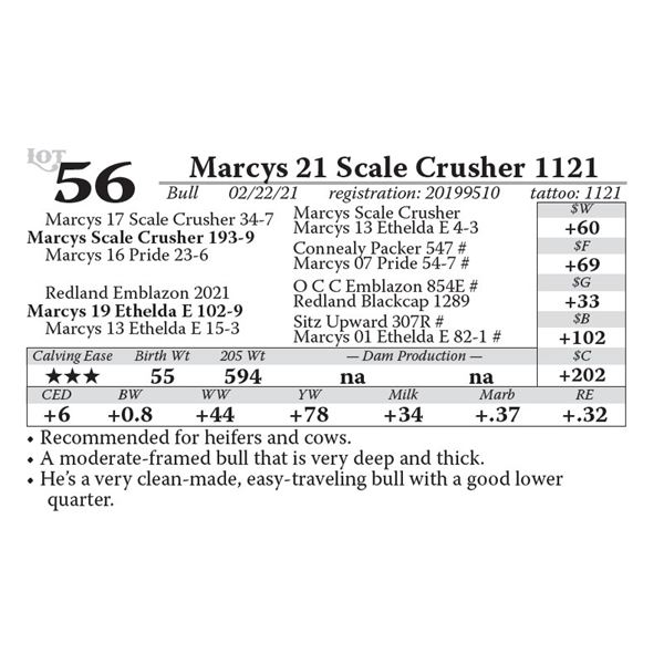 Marcys 21 Scale Crusher 1121