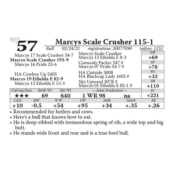 Marcys Scale Crusher 115-1