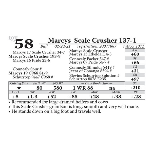 Marcys  Scale Crusher 137-1