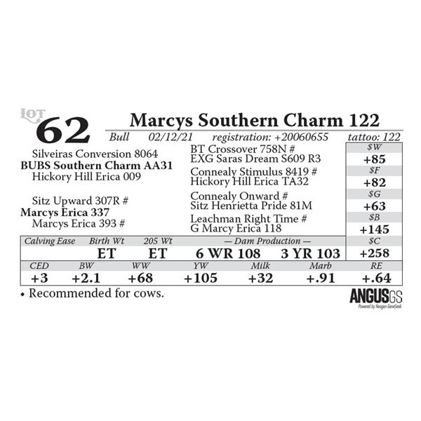 Marcys Southern Charm 122