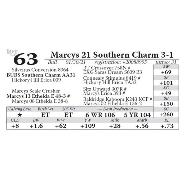 Marcys 21 Southern Charm 3-1