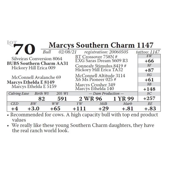 Marcys Southern Charm 1147