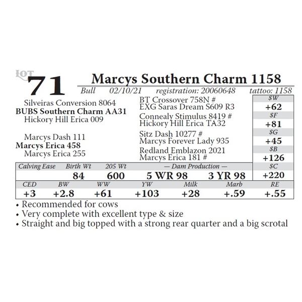 Marcys Southern Charm 1158